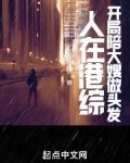 人在港综,你管这叫卧底?起点中文网