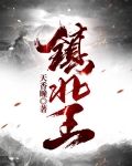 镇北王短剧