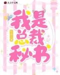 总裁我是谁