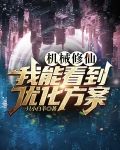 机械修仙：我能看到优化方案