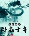 人在港综，卧底十年
