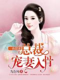 缠绵入骨:总裁的新妻全文阅读