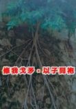 修我矛戟,与子偕作