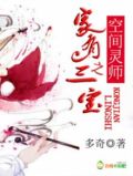 空间灵师之家有三宝小说免费