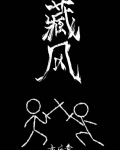 藏风讲的什么
