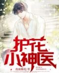 护花小神医无广告