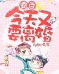 霸总今天又要离婚 小说