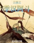 三国之季汉阿斗