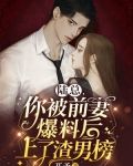 陆总，你被前妻爆料后上了渣男榜