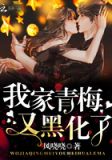 水浒第一高手