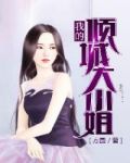 我的倾城大小姐王文斌徐薇
