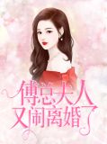 傅总，夫人又闹离婚了容姝