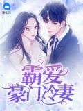 豪门冷妻慕少冷妻