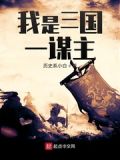我是三国一谋主TXT下载