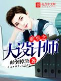 类似重生之大设计师的小说