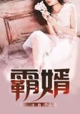 霸婿叶辰萧初然免费阅读全文