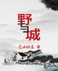 野与城小说免费阅读