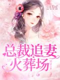 总裁追妻火葬场短视频