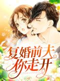 复婚前夫你走开